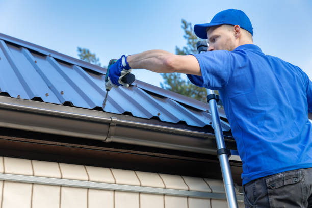 Best Skylight Installation and Repair  in Ramsey, MN