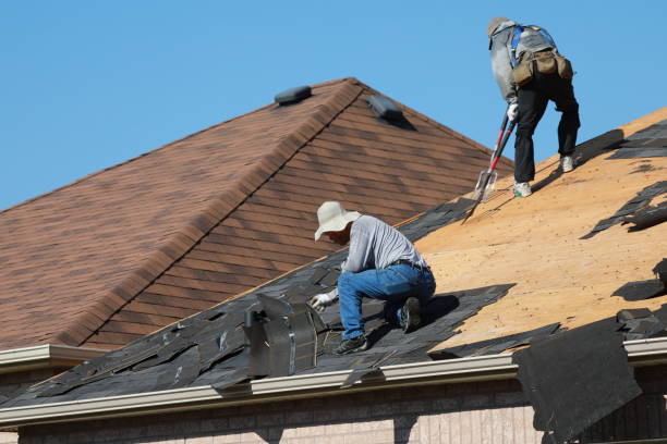 Best Green or Eco-Friendly Roofing Solutions  in Ramsey, MN