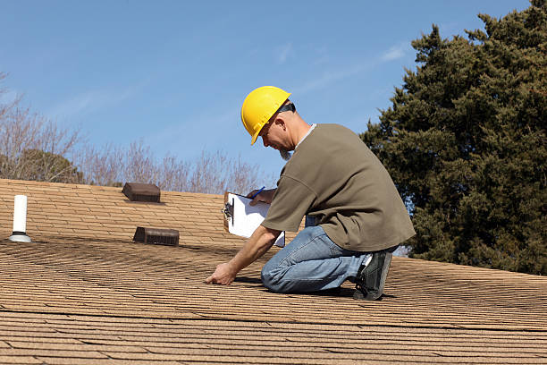 Best Chimney Flashing Repair  in Ramsey, MN