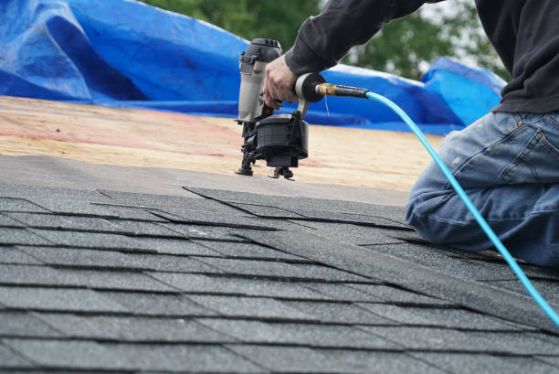 Best Storm Damage Roof Repair  in Ramsey, MN