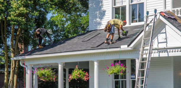 Best Roof Insulation Installation  in Ramsey, MN
